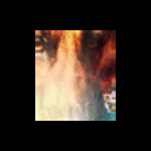 Meet your Posher, Trisha